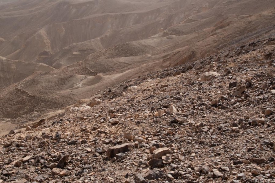 שביל ישראל, הרי אילת 2021 (45)