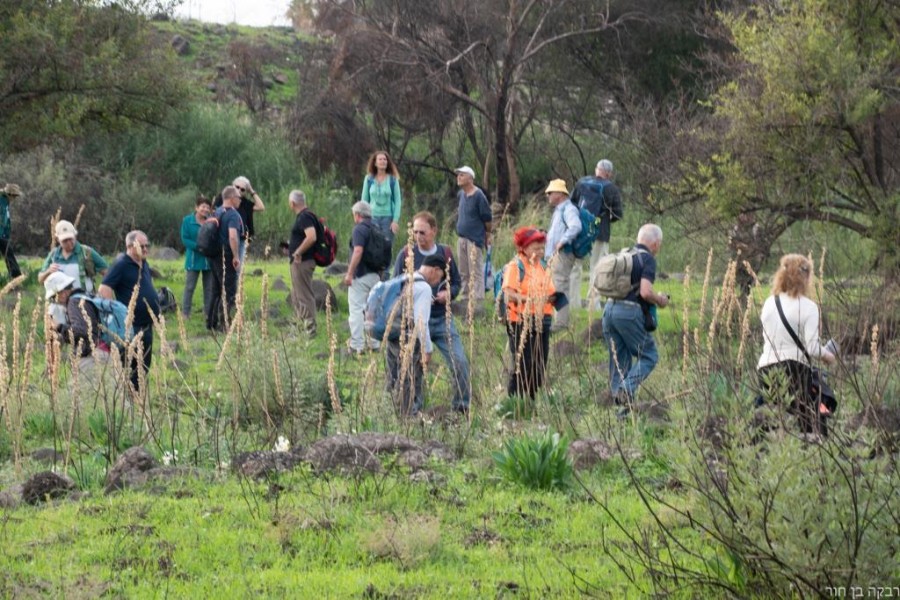 סובב כנרת 2 (90)