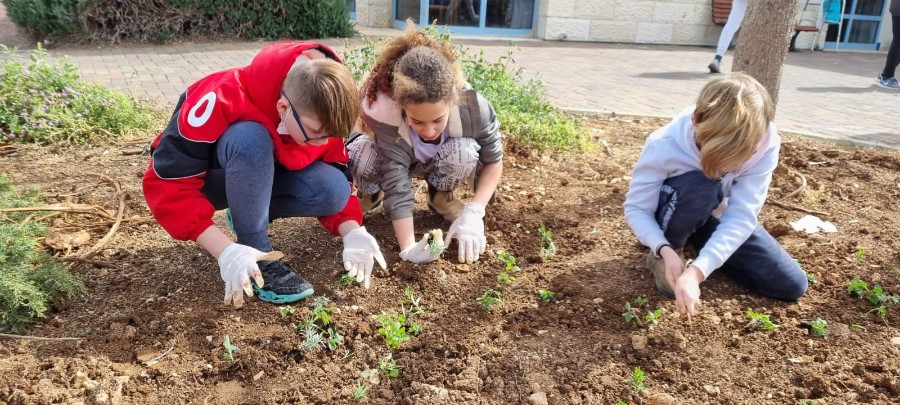 יום המעשים הטובים (10)