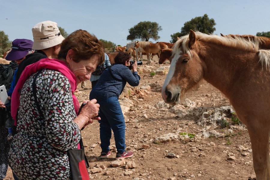 מטיילים ומצלמים בציפורי  (11)