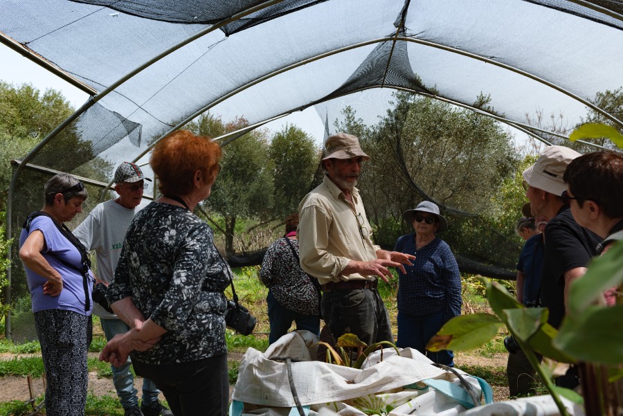 מטיילים ומצלמים בציפורי  (26)