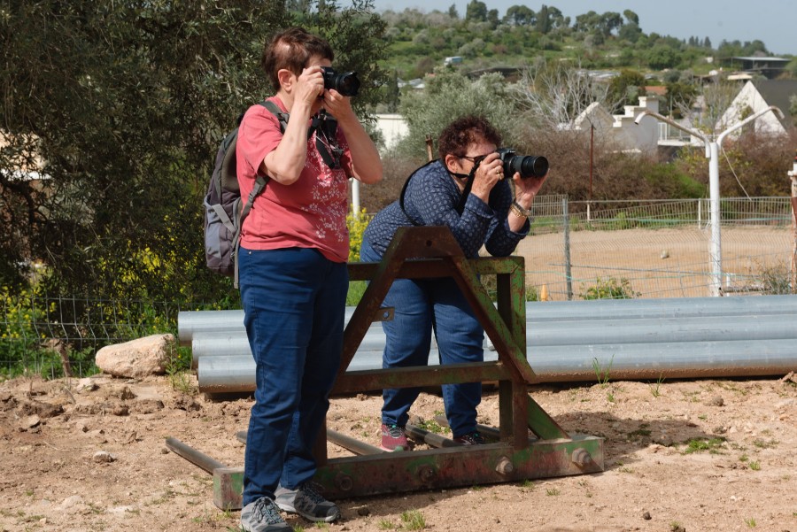 מטיילים ומצלמים בציפורי  (12)