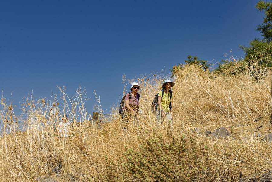 מטיילים ומצלמים ברמת הגולן (5)