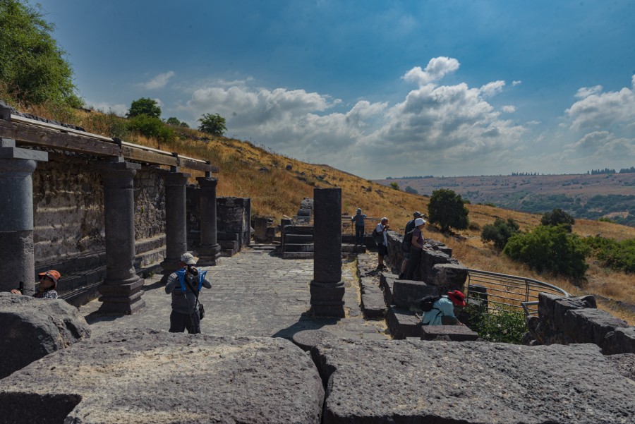 מטיילים ומצלמים ברמת הגולן (3)