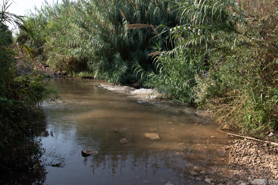 שביל ישראל מהמסרק ללטרון (15)