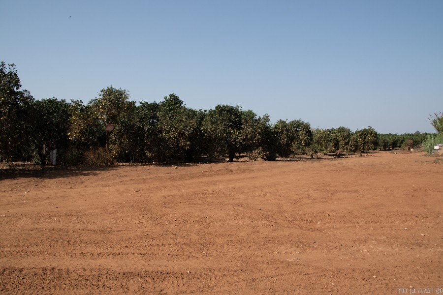 שביל ישראל מהמסרק ללטרון (22)