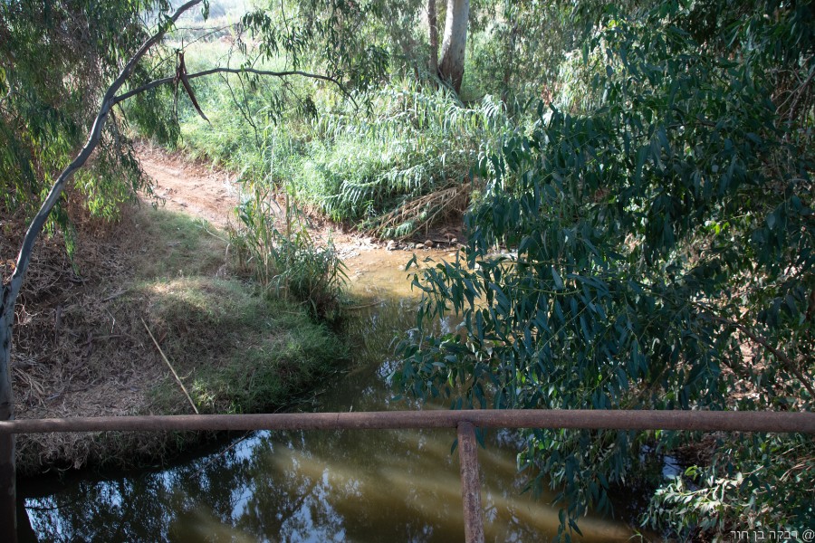 שביל ישראל מהמסרק ללטרון (12)