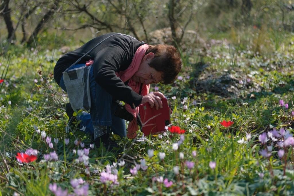 מצלמים בגבעת עדה (13)