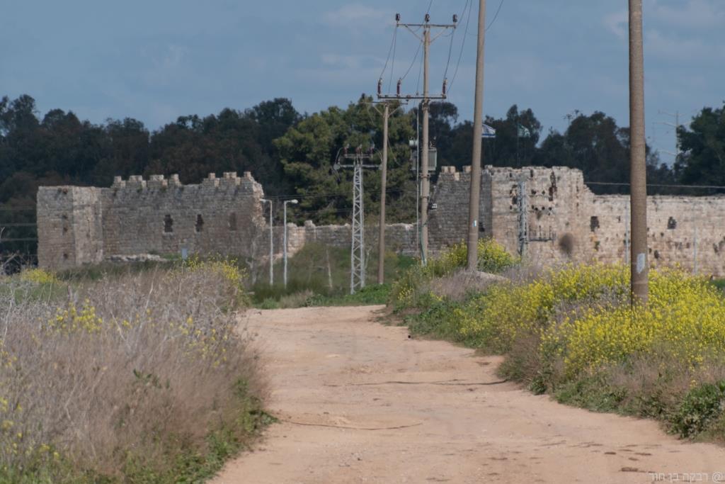 שביל ישראל 3 ימים בנגב021