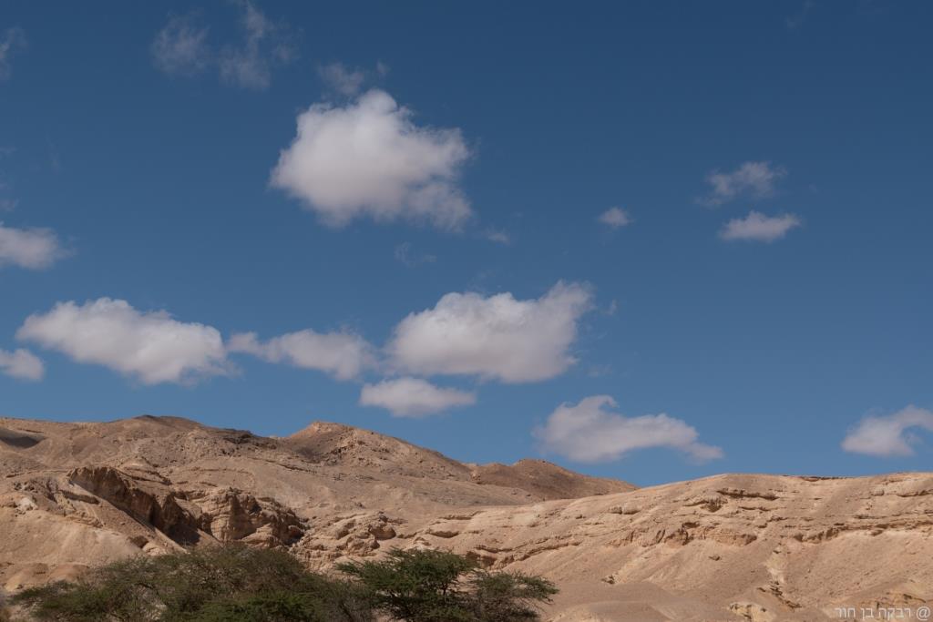 שביל ישראל 3 ימים בנגב057