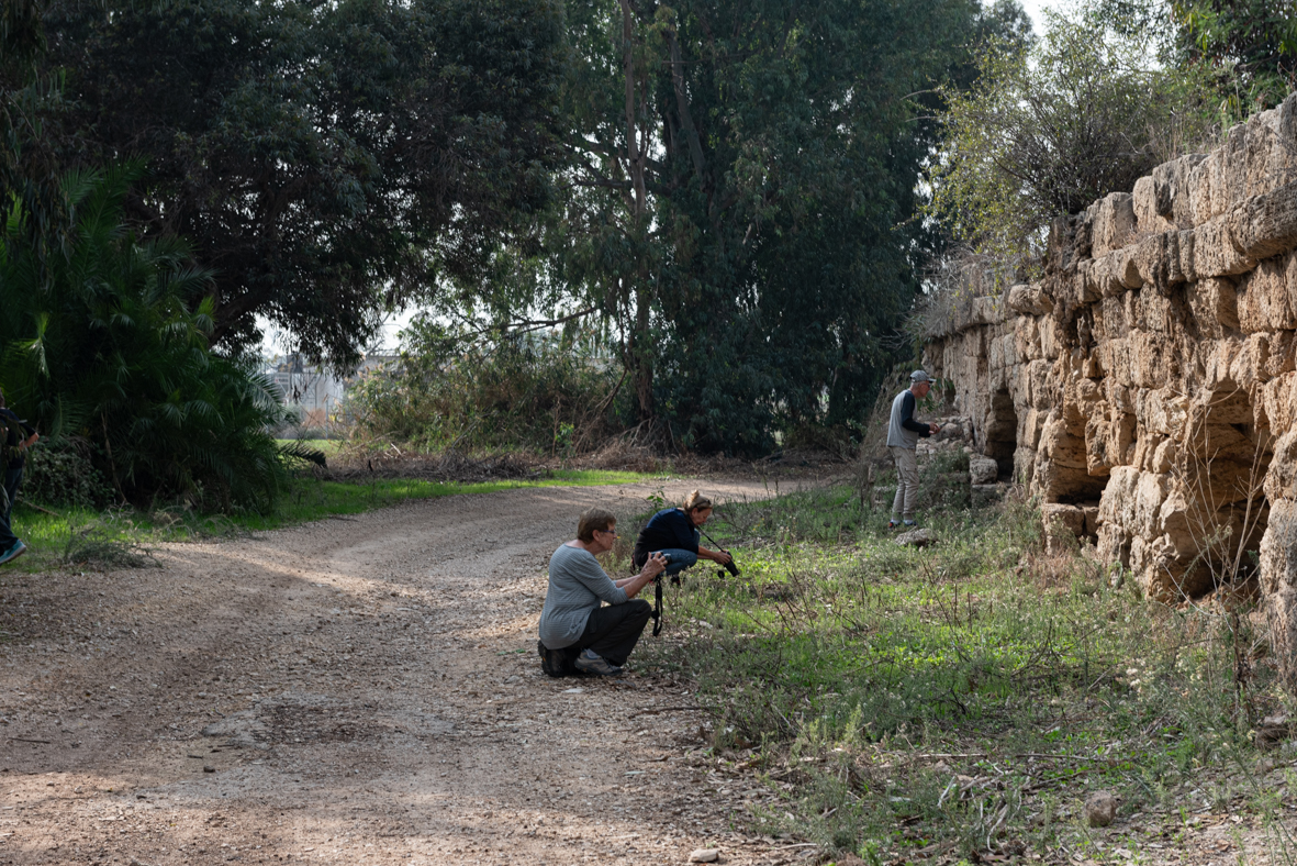 חורבת מלח (15)