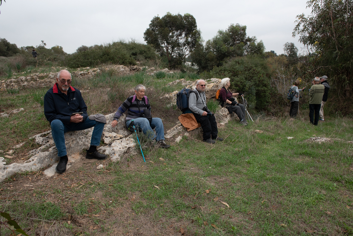 חורבת מלח (10)