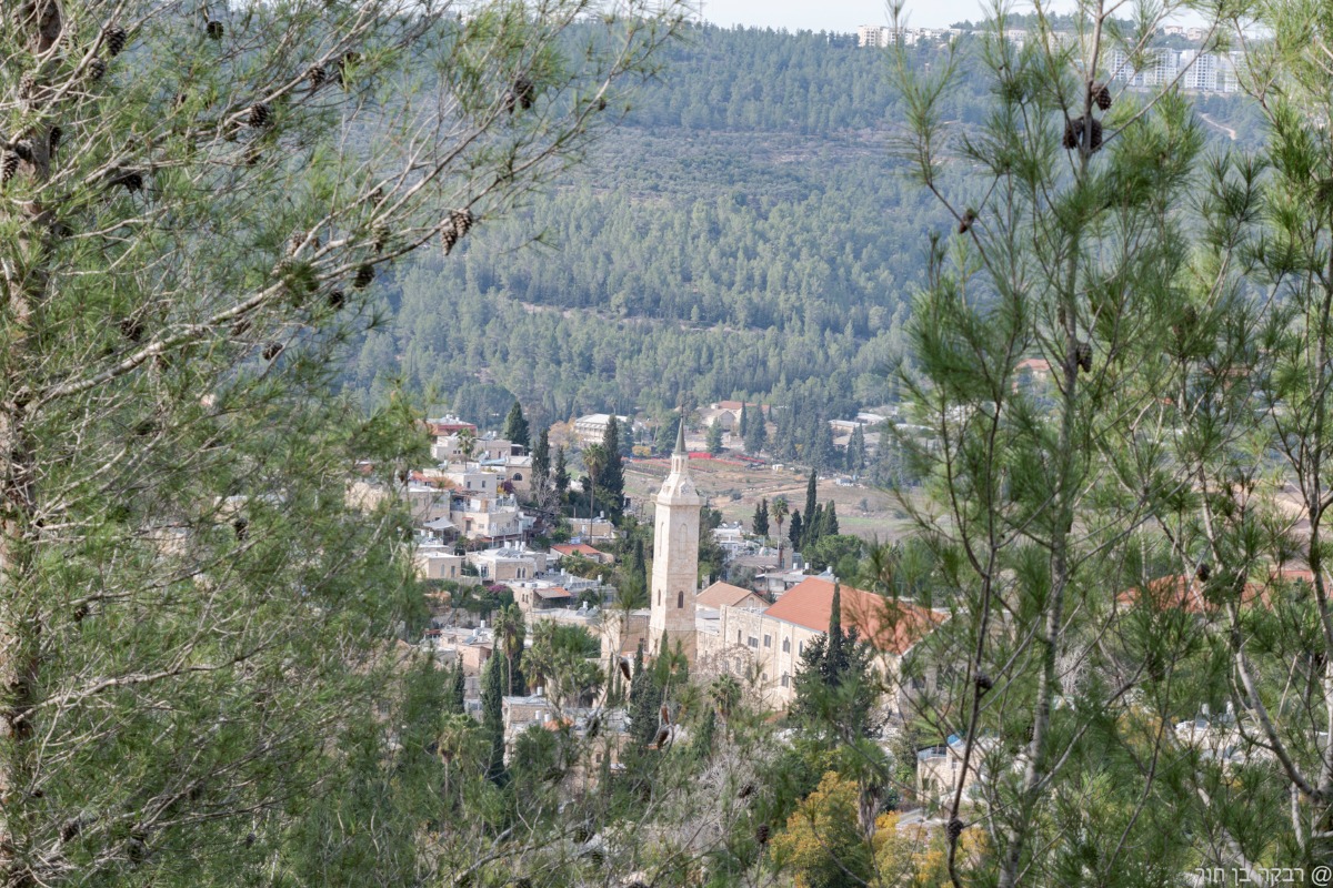 8.12.23-אנדרטת רובינשטיין-עין כרם (57)