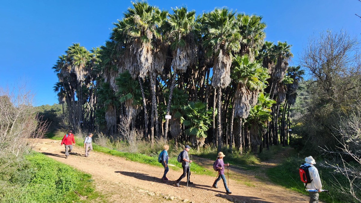 צועדים בשביל 19.1.24  (7)