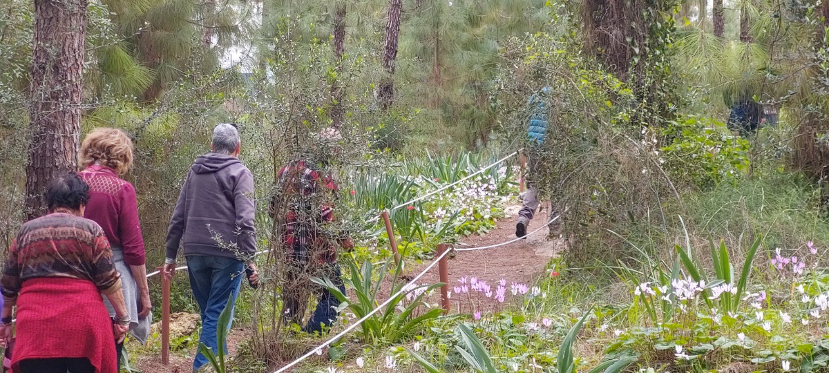 פריחות בשרון גבעת הרקפות בכוכב יאיר(60)