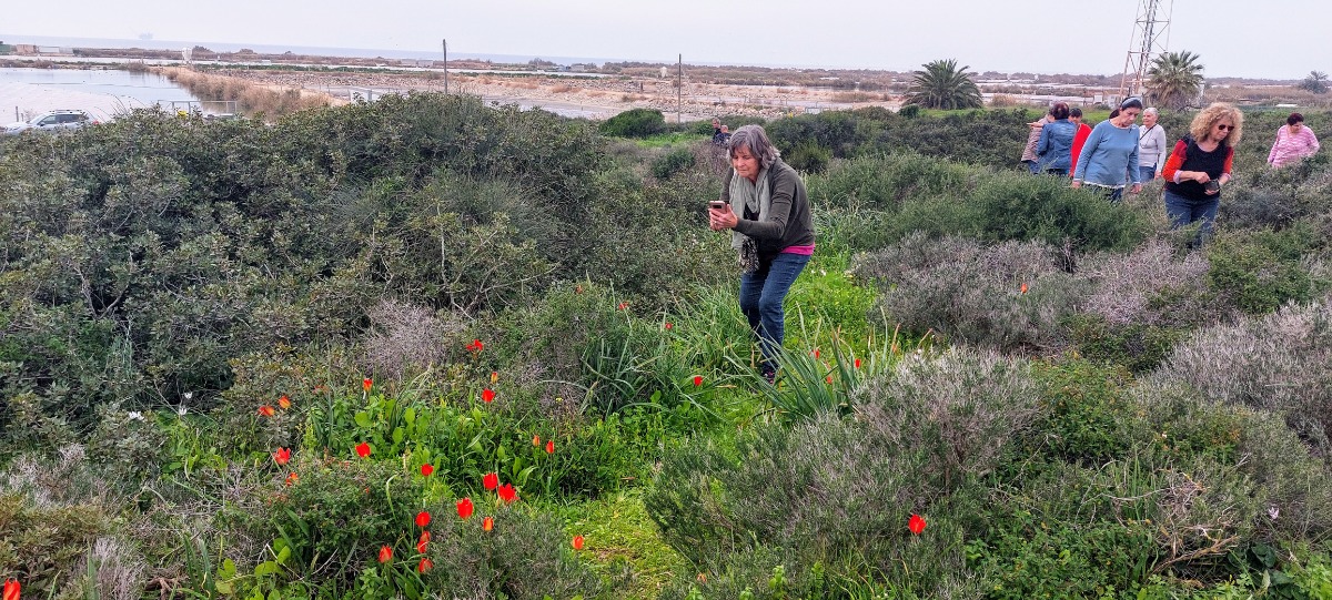 פריחות בשרון פברואר 24 (2)