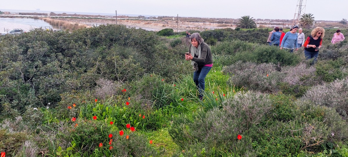 פריחות בשרון פברואר 24 (2)