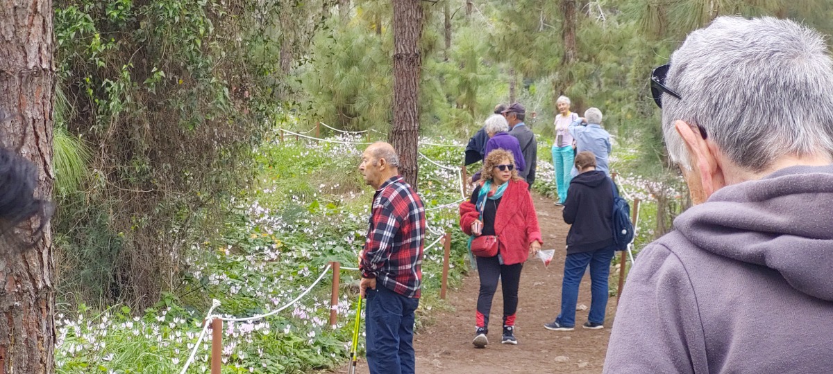 פריחות בשרון גבעת הרקפות בכוכב יאיר(54)