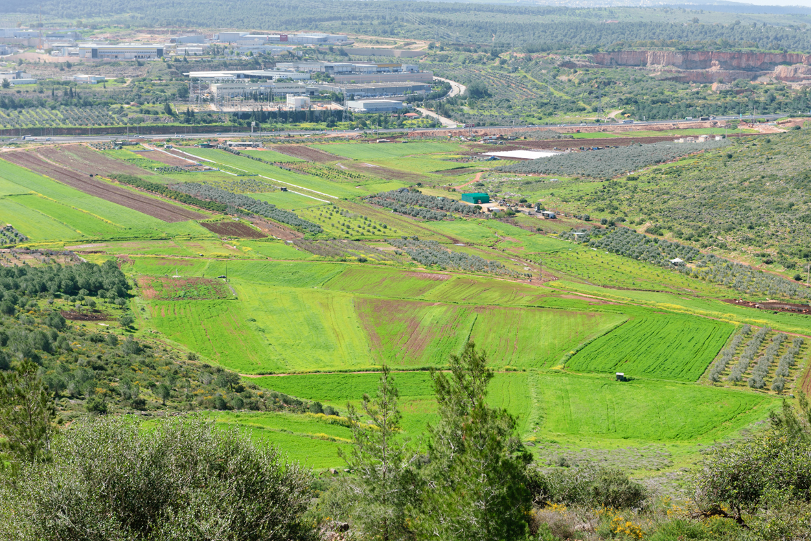 מצלמים בבקעת בית נטופה (14)