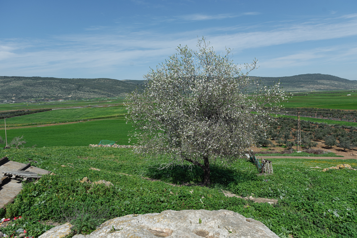 מצלמים בבקעת בית נטופה (4)