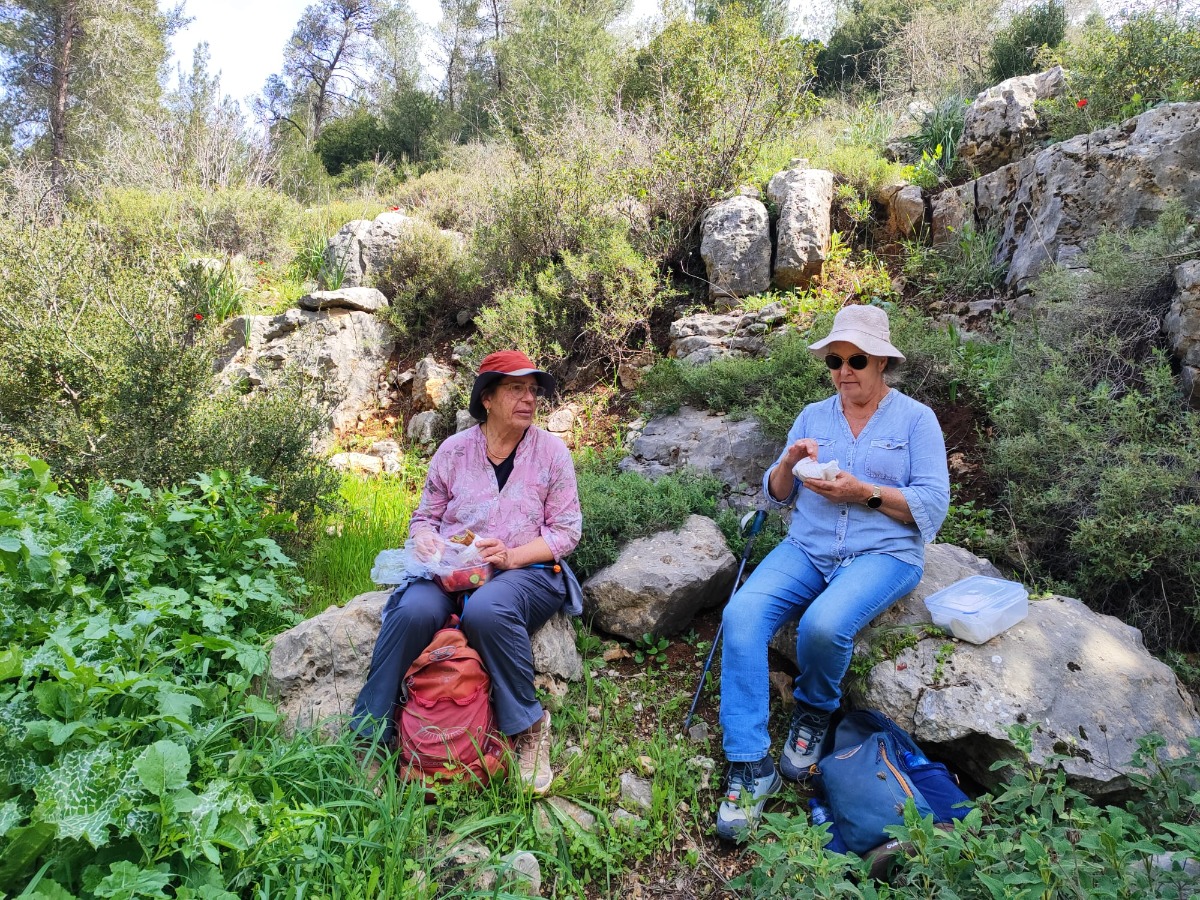 שביל ישראל- 3 ימים 4-6.3.25  (29)