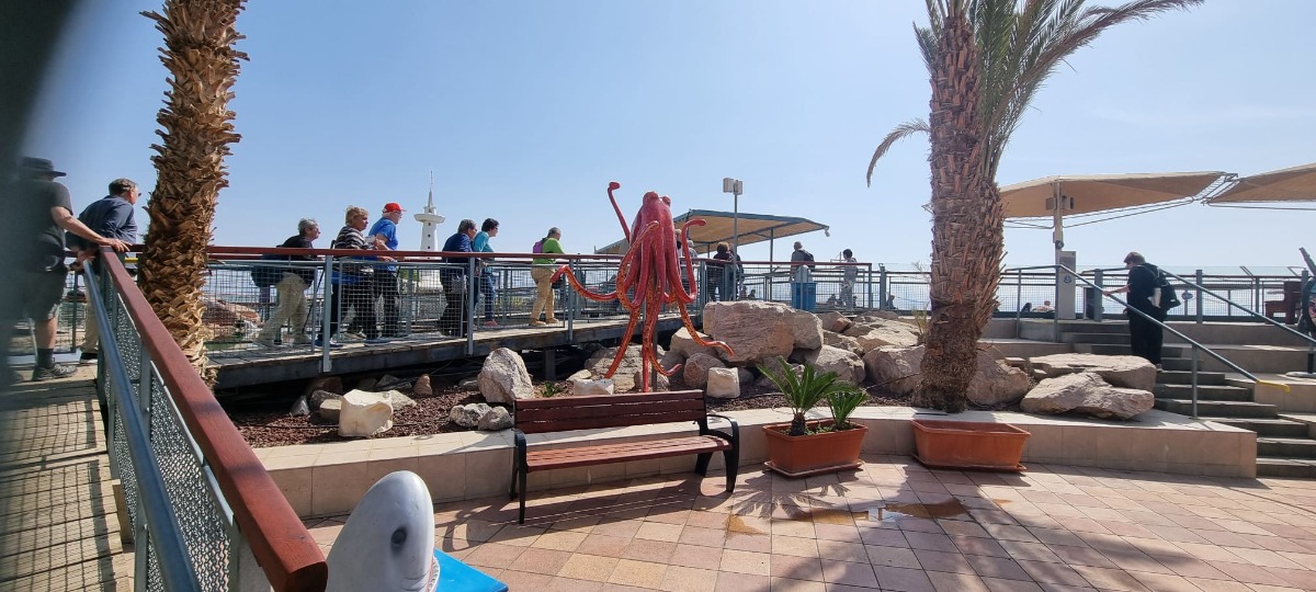 נופש באילת 3 (10)