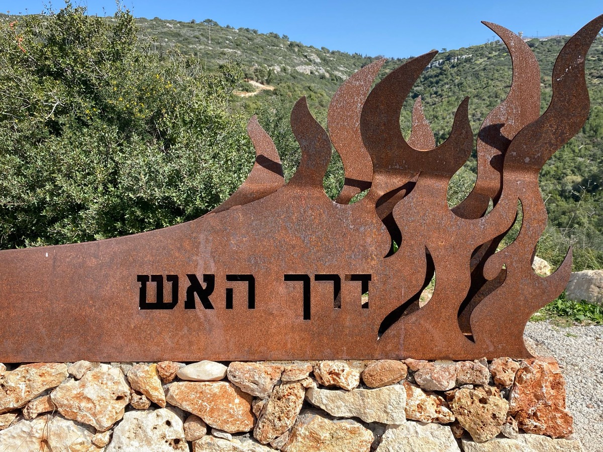 מטיילים ומצלמים בכרמל בעקבות האש (20)