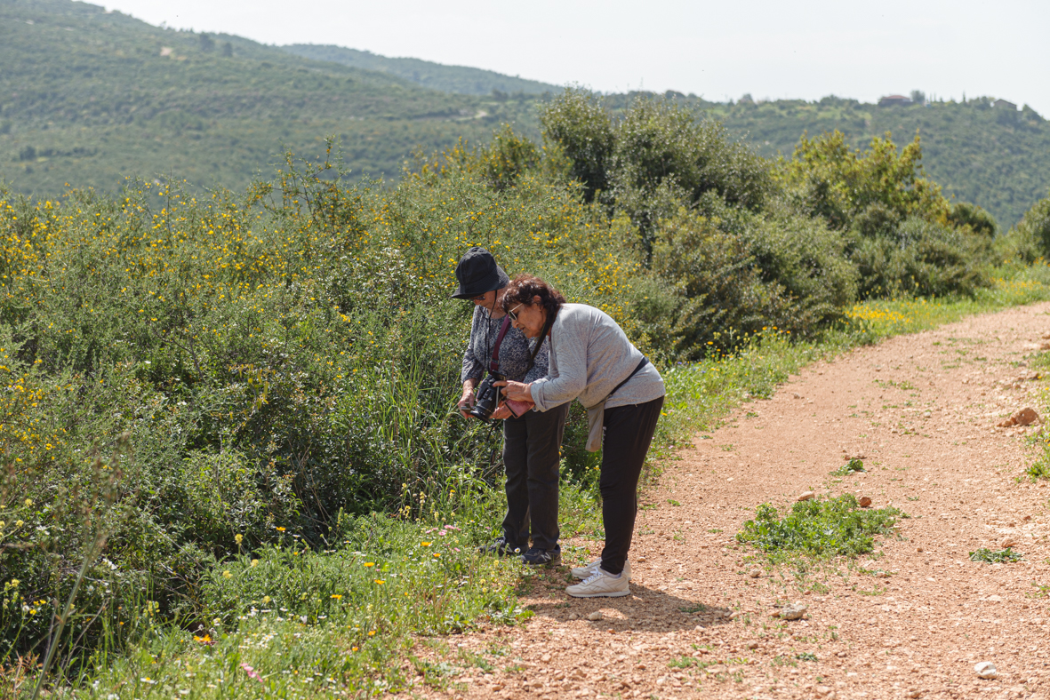 מטיילים ומצלמים בכרמל בעקבות האש (13)