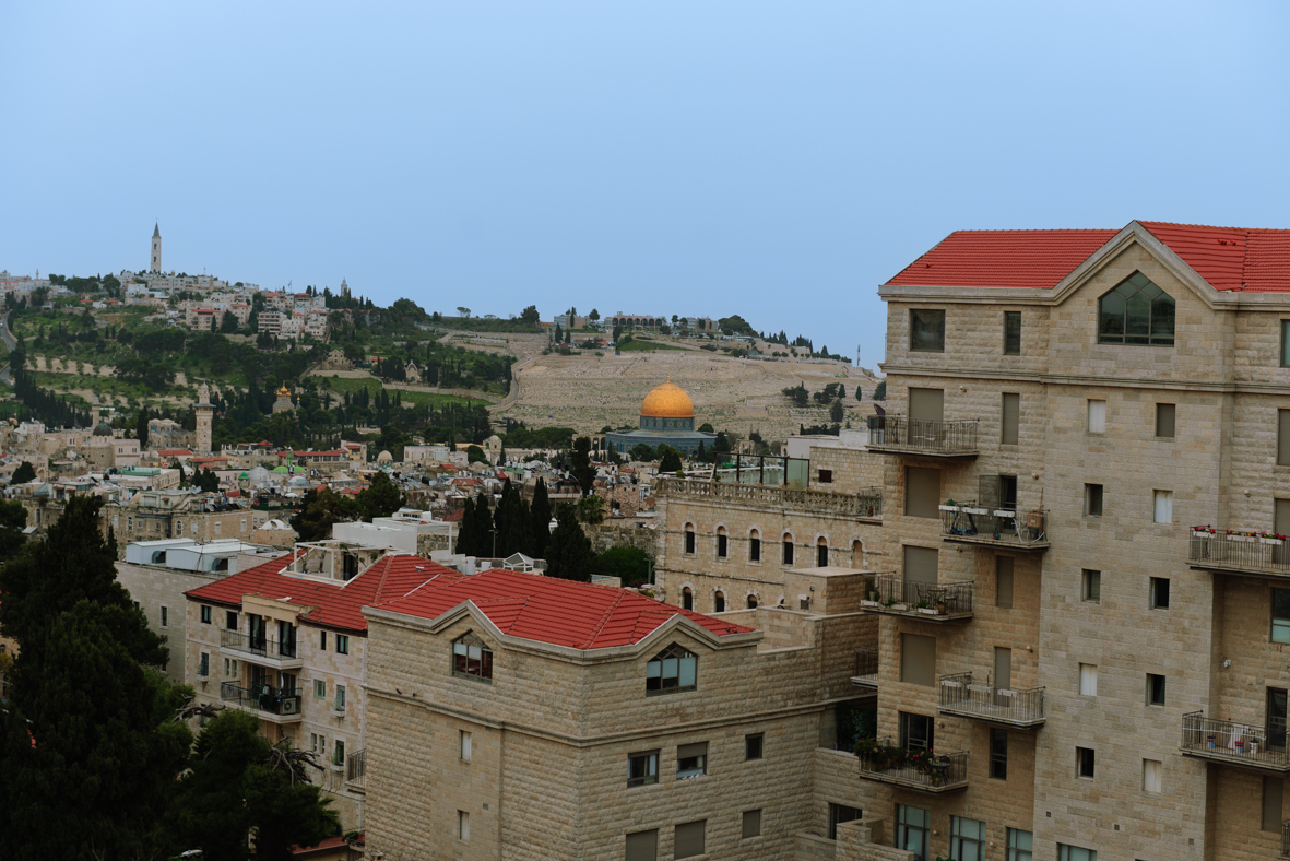 הגן הבוטני בירושלים (12)