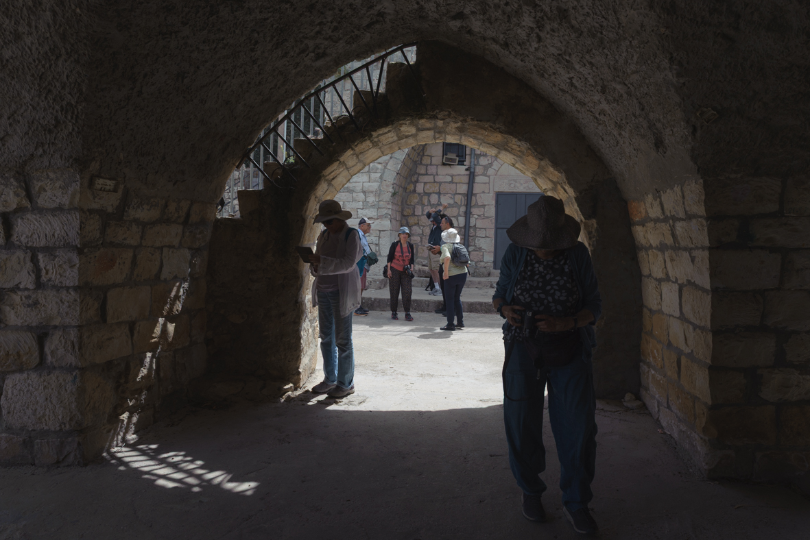 מצלמים בגליל העליון (6)