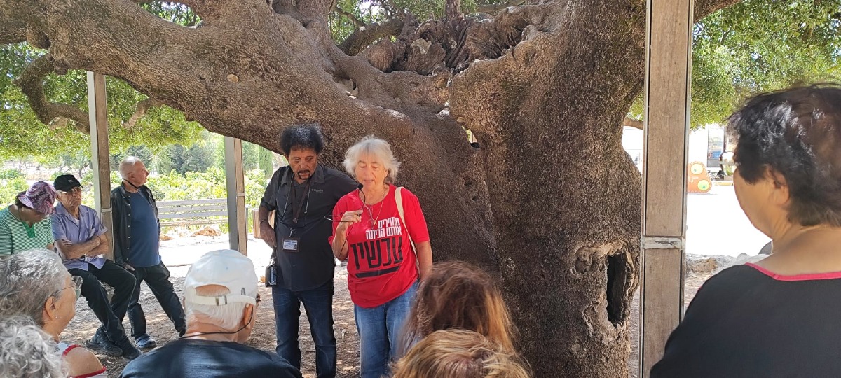 טיול לירושלים 7