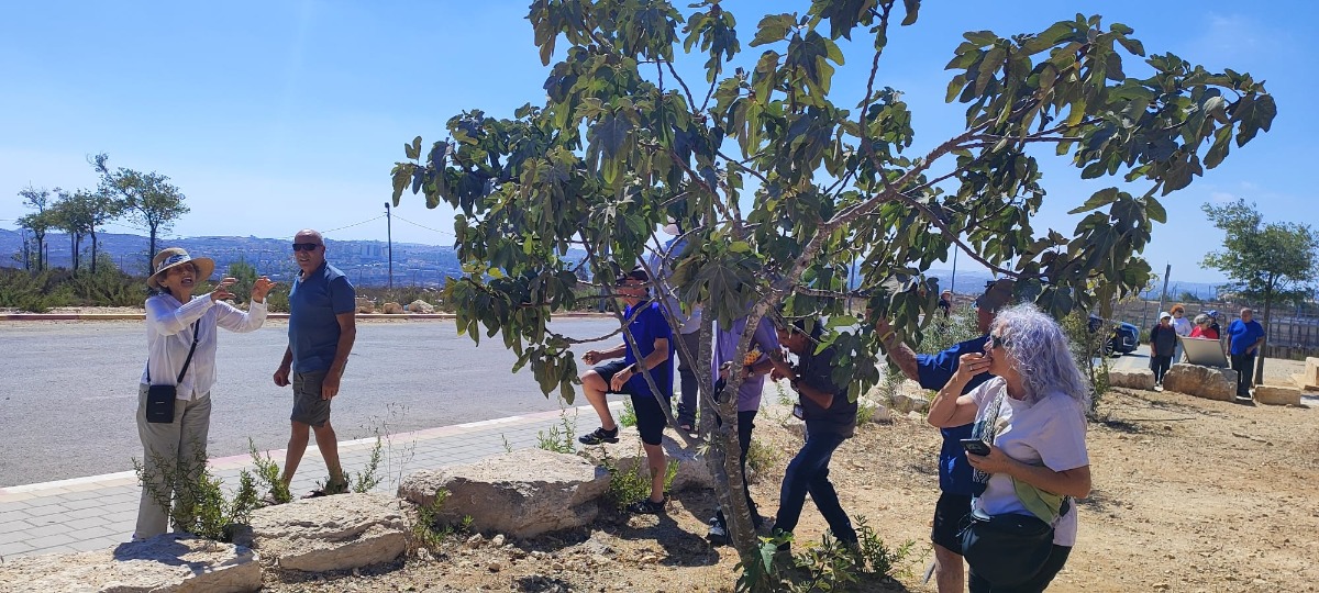 טיול לירושלים 13