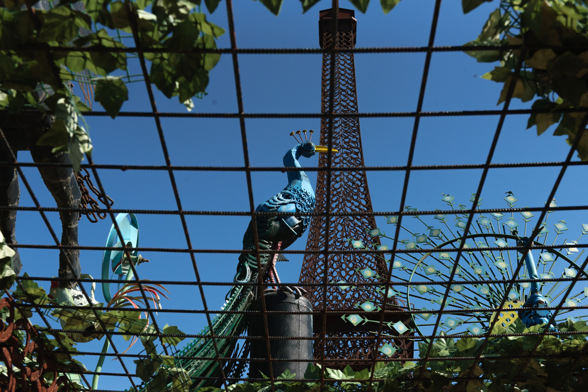 מצלמים בשעב