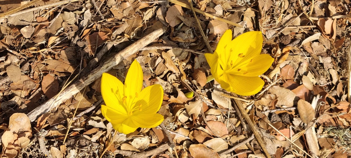 טיול לגולן-חקלאות פורצת דרך