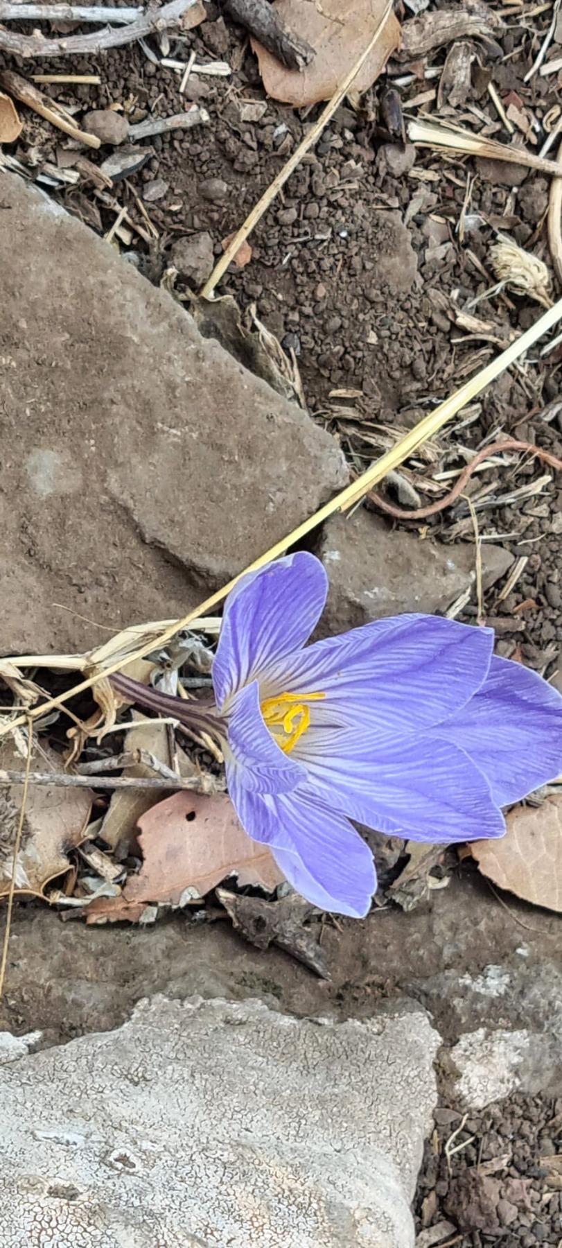 טיול לגולן-חקלאות פורצת דרך