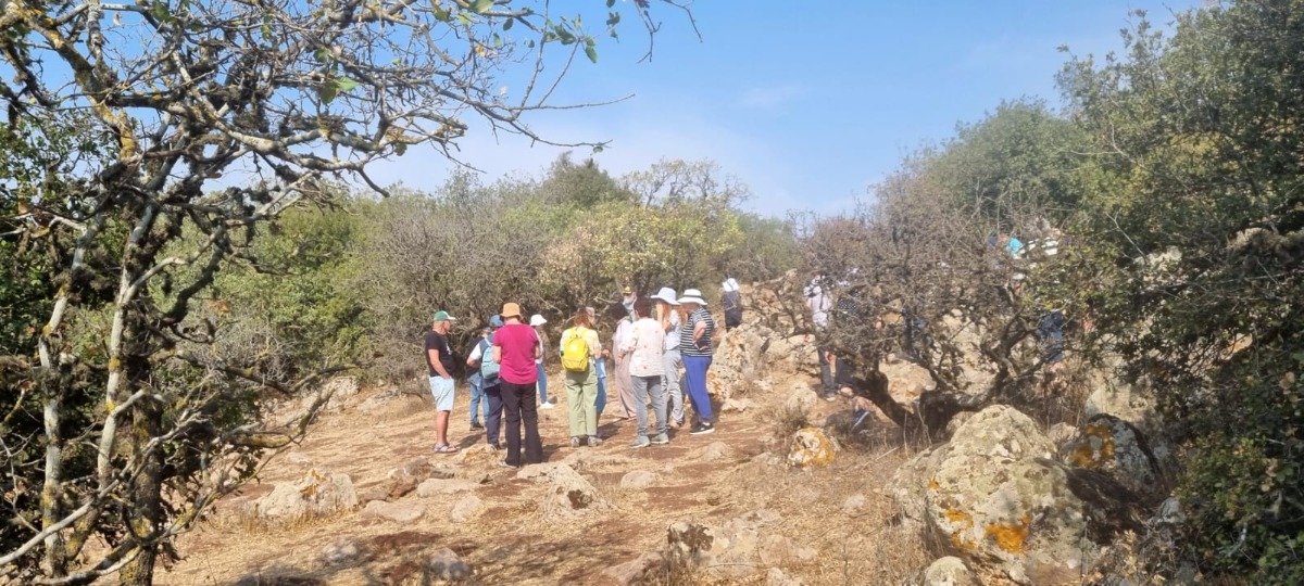 טיול לגולן-חקלאות פורצת דרך