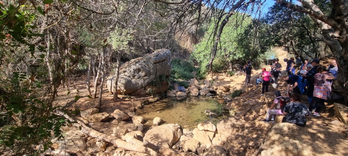 נחל צלמון (9)