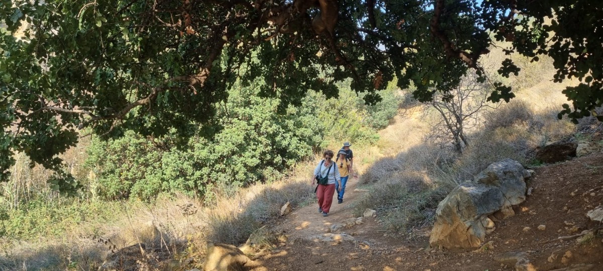 נחל צלמון (8)