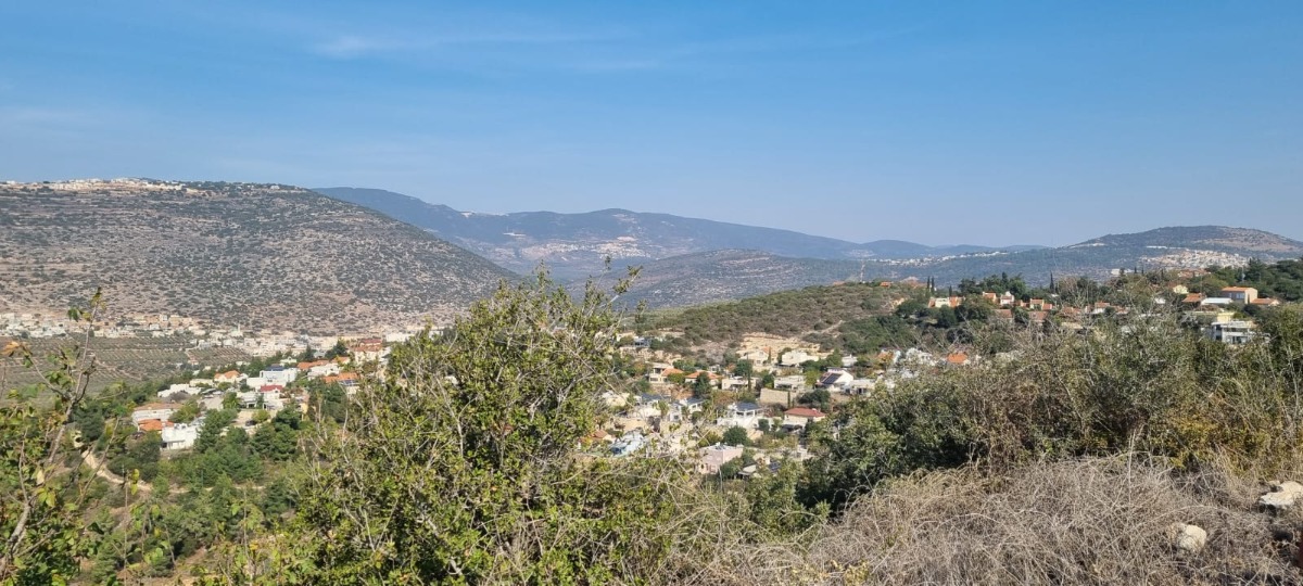 נחל צלמון (10)