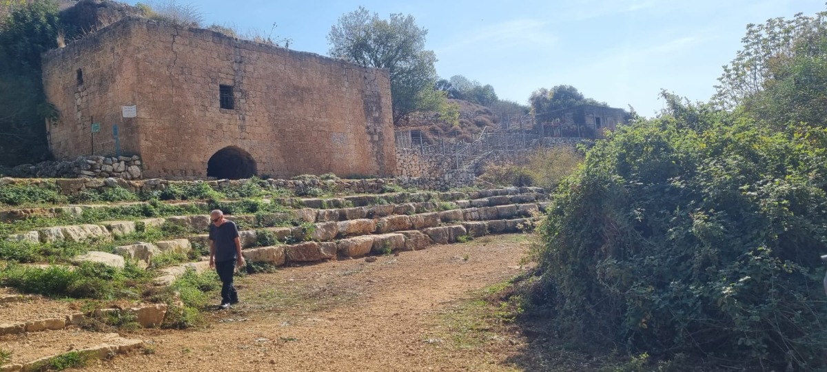 נחל צלמון (2)