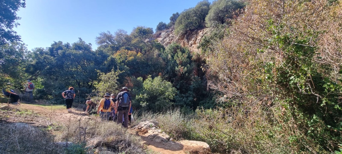 נחל צלמון (6)