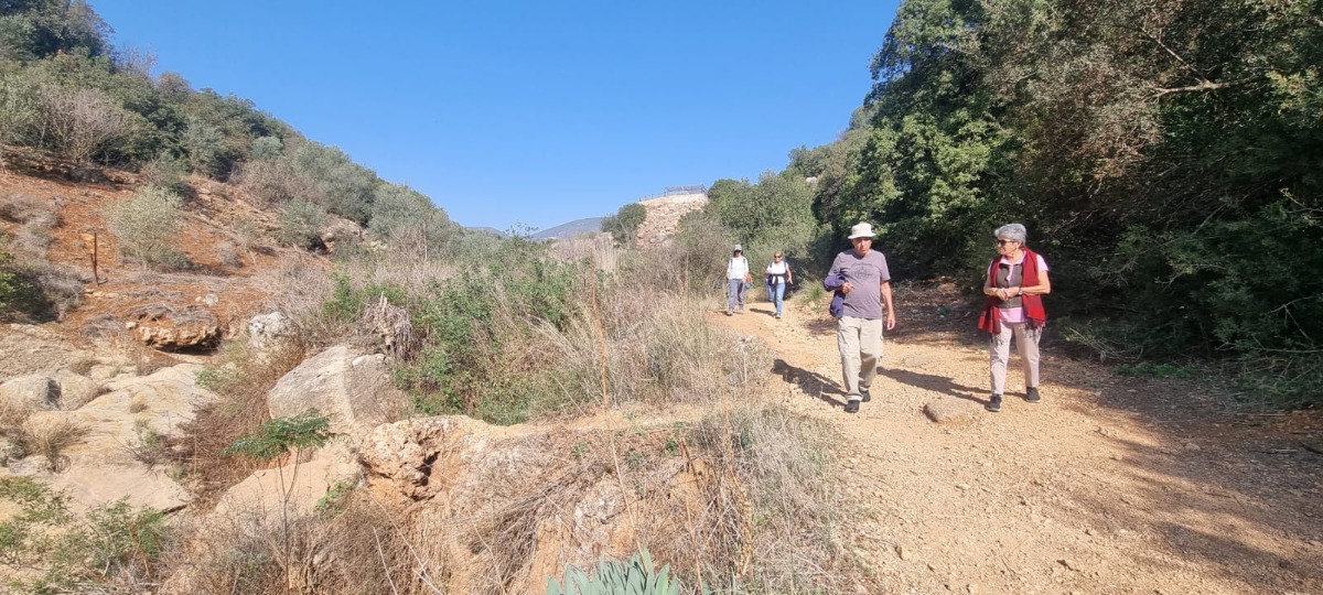 נחל צלמון (7)