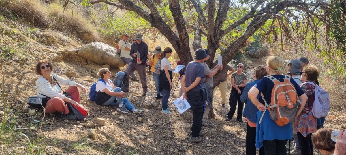 נחל צלמון (15)