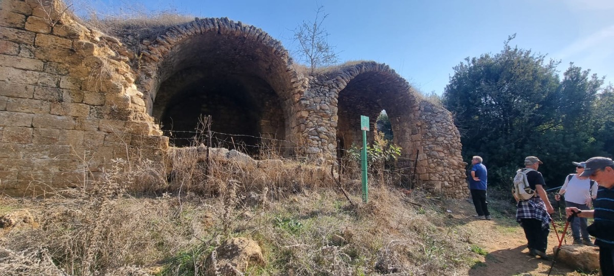 נחל צלמון (17)