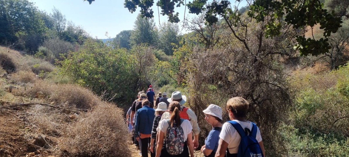 נחל צלמון (16)