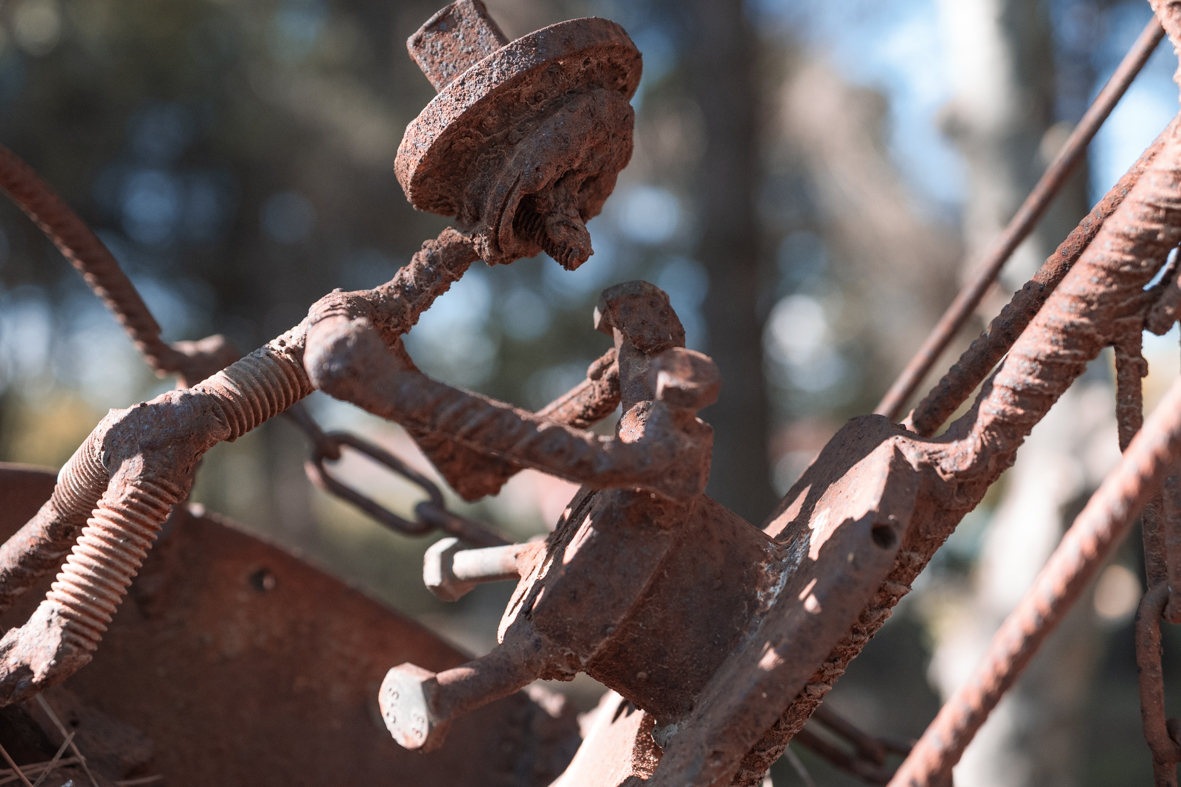 מטיילים ומצלמים -שלכת בגולן