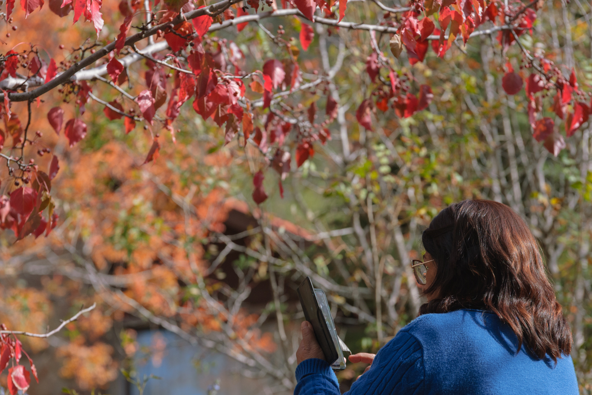 מטיילים ומצלמים -שלכת בגולן