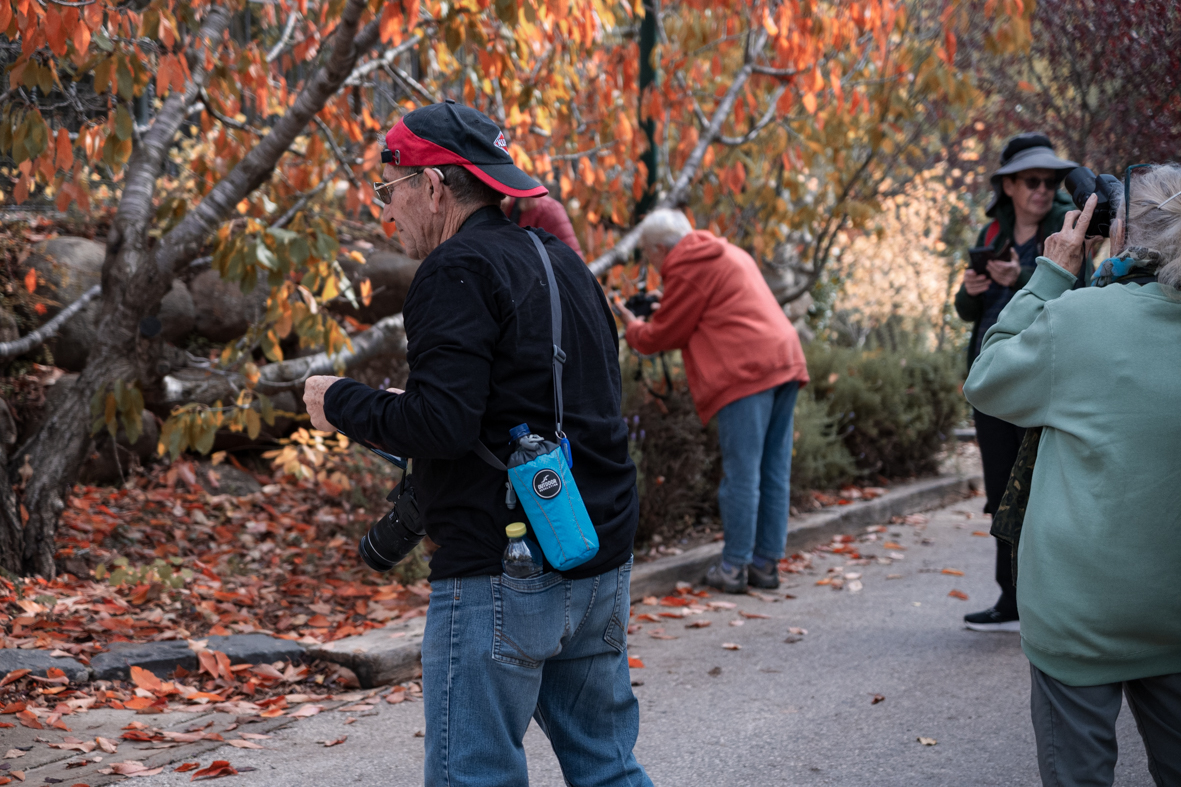 מטיילים ומצלמים -שלכת בגולן