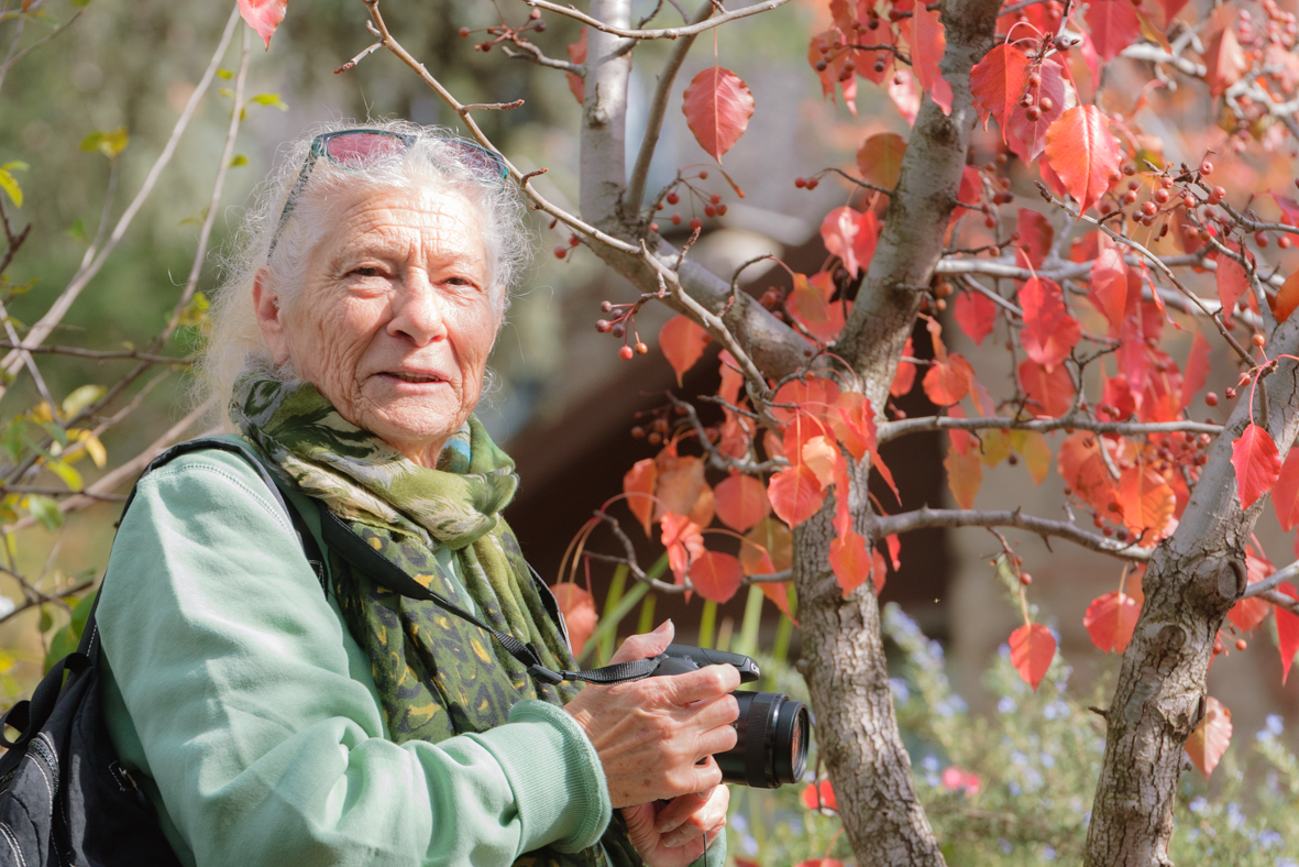 מטיילים ומצלמים -שלכת בגולן