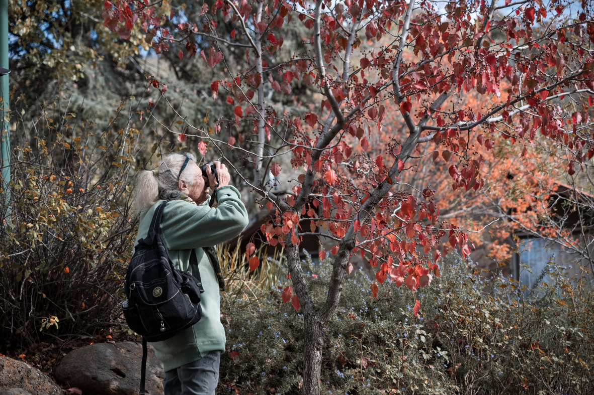 מטיילים ומצלמים -שלכת בגולן
